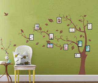 Huge Birds Vine Tree Photo Frame Wall Stickers art Mural Children Kids 