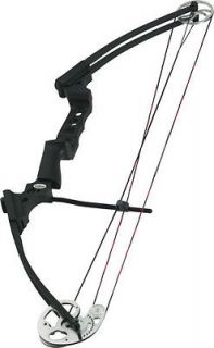 Mathews Bows in Compound