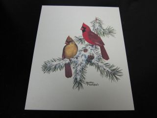 Vintage Litho Print Collectors Portfolio of Song Birds by Sherm 