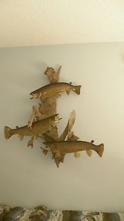 Brown Trout Fish Mount Taxidermy Real Skin 24, 23, and 21 