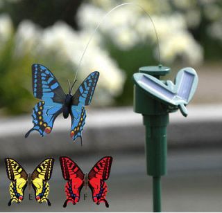   Butterflies Flying Fluttering Colorful Garden Dancing Butterfly