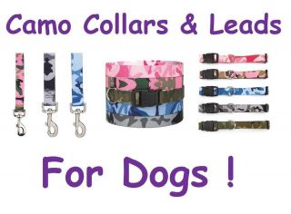 pink camo dog collar in Collars & Tags