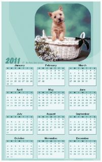 NORWICH TERRIER PUPPY 2013 Magnetic Calendar Magnet #0620