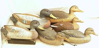 Lot of 6 Hunting DUCK DECOYS (2 Drakes & 4 Hens)   G&H / Flambeau Lot 