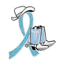   Cancer Light Blue Glitter Ribbon Cowgirl Cowboy Western Boots Hat Pin