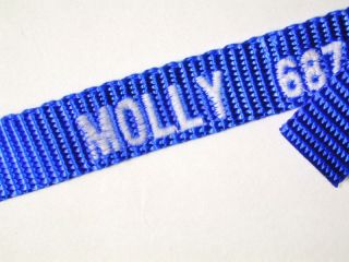 embroidered cat collar in Collars & Tags