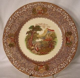 ROYAL STAFFORDSHIRE china JENNY LIND Brown Multicolor pattern Dinner 