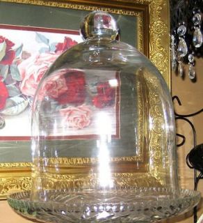    Glass Cloche DISPLAY BELL Jar DOME~Taxidermy Terrarium Wedding CAKE