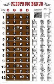 String Plectrum Banjo Fingerboard Chords Poster Chart