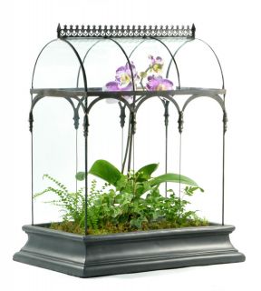   Terrarium Wardian Case Christmas Gift Plant Herb Fairy Garden WAR150