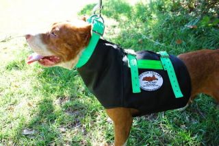 hog dog cut vest in Hunting Dog Supplies