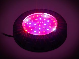   BAND Hydroponic 135w UFO LED Plant Grow Light 3 Watt LEDs 135 Watt