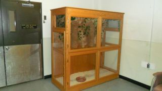 used large bird cages in Cages