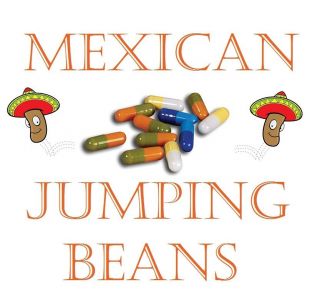 Five Mexican Crazy Jumping Beans Karl Pilkington Party Pinata Bag 