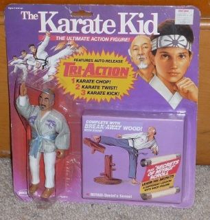 karate kid remco in TV, Movie & Video Games