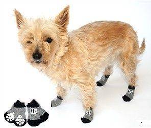 Dog Socks Traction Control Non Slip Bootie   Gray Grey