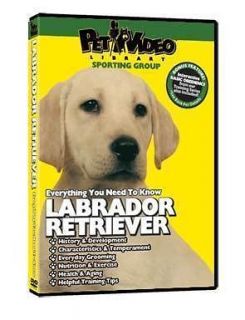 LABRADOR RETRIEVER ~ Puppy ~ Dog Care & Training DVD ++