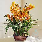   Orchids Wooden Planter Silk Flower/Floral Arrangement Jane Seymour