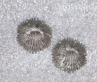 monet silver clip earrings in Fashion Jewelry