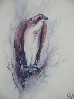 Ben Maile Ltd Ed Signed + Angus Oglivey Osprey Print