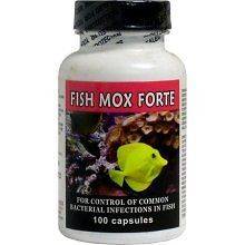 Fish Mox Forte Amoxicillin Antibiotic 500mg 100 Capsule