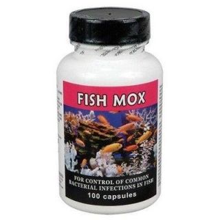 Fish Mox Amoxicillin Antibiotic 250mg 100 Capsules