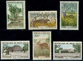   1962 Hunting,Turism,Lion,Antelope,African buffalo,hotels,Mi.102,MNH