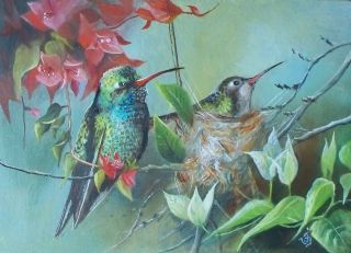 Original Oil Painting Wildlife Broad Billed Hummingbirds Signed by 