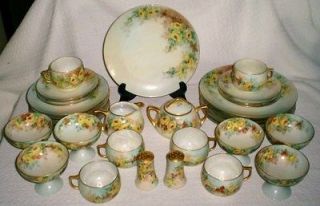 34 Pc/Service for 6 Hand Painted Yellow Rose Bavaria Porcelain 