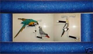 Parrot Birds Shower Window Perch Stand 3 side ALL birds