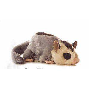 SUGAR GLIDER 8 Plush stuffed animal mouse rodent squirrel gray rat 