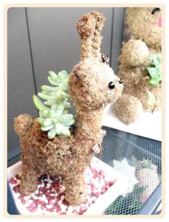 Animal moss topiary plant pots/decorating item/planter