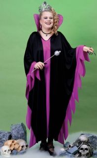 Forum EVIL QUEEN Witch / Princess / Sorcerous Adult Plus Size Costume