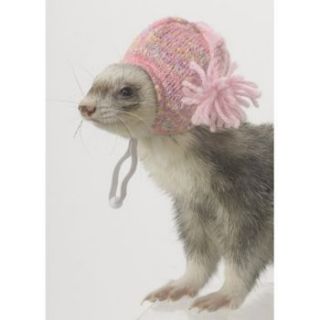   PET PINK KNIT CAP HAT FASHION FERRETS TOY BREEDS HEAD FREE SHIP TO USA