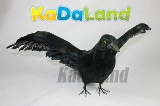   Feather Black Flying CROW Raven Taxidermy Horror Haunted Halloween