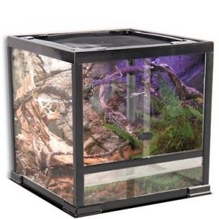 glass terrarium in Reptile Supplies