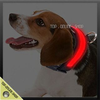 Modes Safety FLASHING LED COLLAR PET 22 44lb DOG CAT NIGHT Walk 