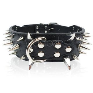 pitbull collars in Spiked & Studded Collars