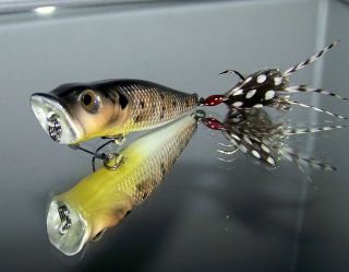Custom Painted BASS SNAX Popper Topwater Crankbait Lure White Crappie