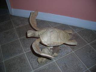 TURTLE OCEAN GULF CHINA BERRY CORAL SCULPTURE WOODEN