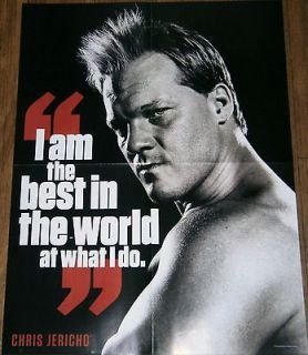 Chris Jericho, Batista   WWE Wrestling 16x21 Double Sided Poster