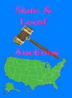State Local Auction sale guide tip step help government