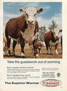 1970 Tramisol Cyanamid Cattle Cow Wormer Ad
