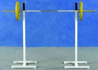 Ader Squat Dip Stand Adjustable Rack & 300 Lb Weight Set