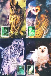 Chinese Animal Stamp 1995 5 Owls,bird of Minerva,nighth​awk,4v set 