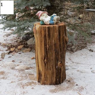   wood table stump Cabin rustic FURNITURE ,rare Bristlecone pine.art