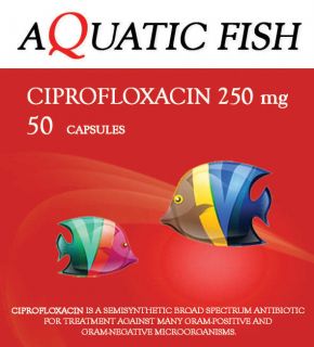 ciprofloxacin in Aquariums