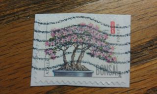 Stamp, USA, BONSAI, AZALEA, 2012, FOREVER, 1 1/4 X 1