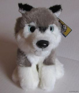 New Alaska Husky Dog Quality Soft Baby Plush Animal