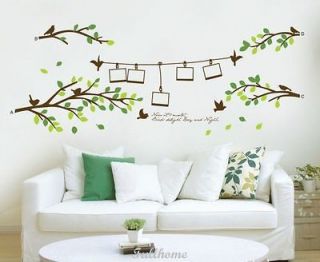 Photo and Fresh Tree DECOR DECAL ART Wall Sticker Removable 